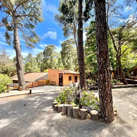 Family Deluxe In The Mountains, Wifi, Heatead Pool In La Esperanza Apartamento