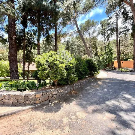 דירה Family Deluxe In The Mountains, Wifi, Heatead Pool In La Esperanza סנטה קרוז דה טנריף